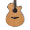 قیمت خرید فروش گیتار آکوستیک Ibanez AEG15II lG